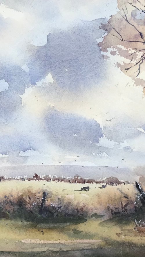 Cows grazing by Vicki Washbourne