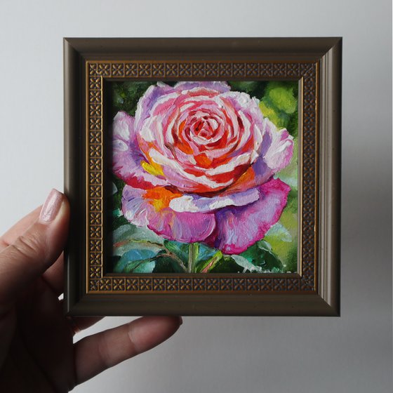 Rose Small Art Framed