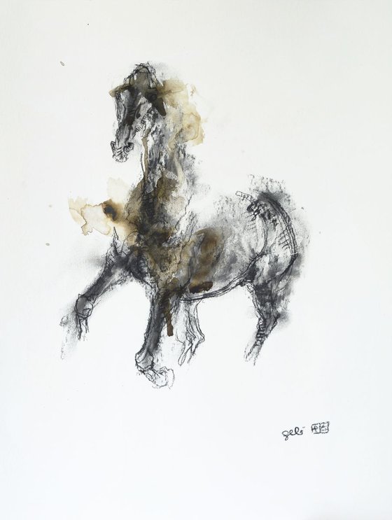 Equine Nude 72t