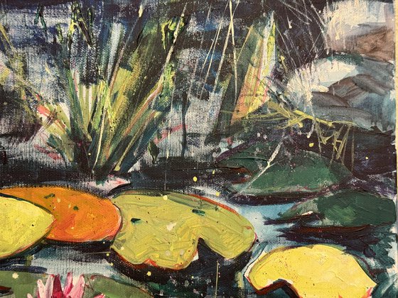 Lily Pond