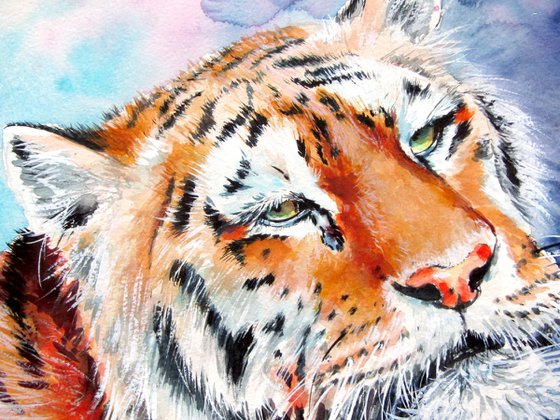 Resting tiger