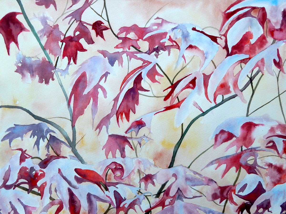 Impressionistic Botanical Watercolour By Richard Freer, 16 X 12", Japanese Maple, Original Artwork