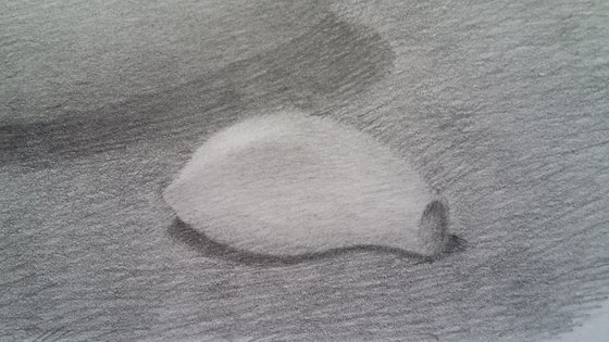 Still life # 5. Original pencil drawing.