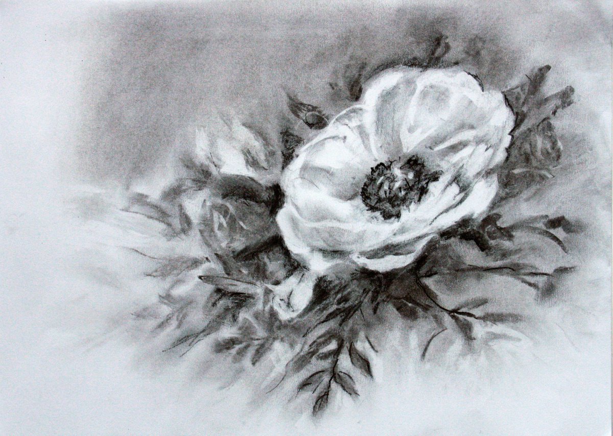 Botanical Charcoal Drawing By Salana Art / Svetlana Samovarova, 12 X 8", Dog-Rose, Original Artwork