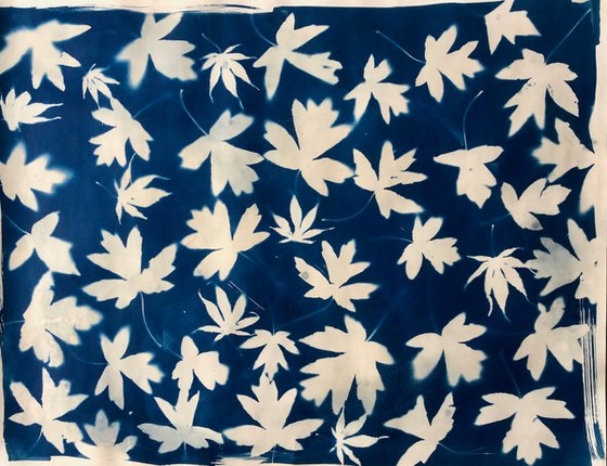 Leaves Leaves leaves- Cyanotype print