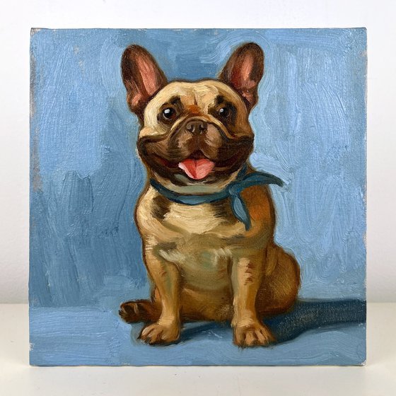 Frenchie dog