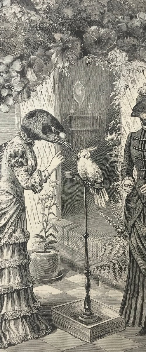 Talking cockatoo by Tudor Evans
