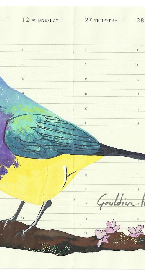 Birds of Oceania: Gouldian Finch by Fran Giffard