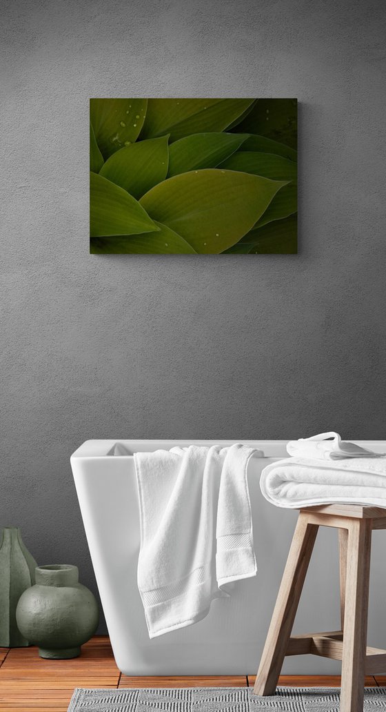 Green Tapestry