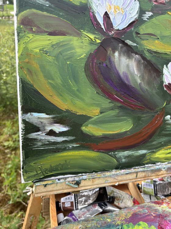 Serenity of Water Lilies