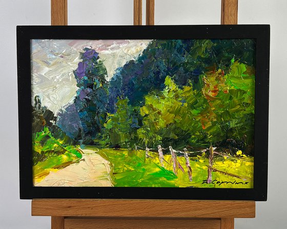 A Road along a Summer Forest