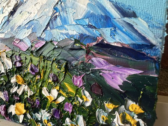 Daisies in the mountains