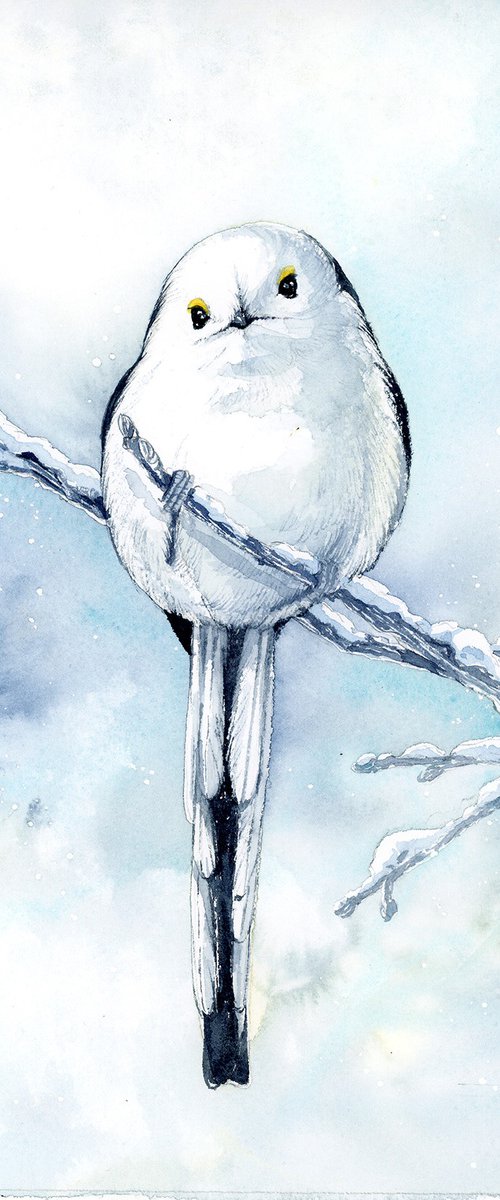 Long-tailed tit by Karolina Kijak