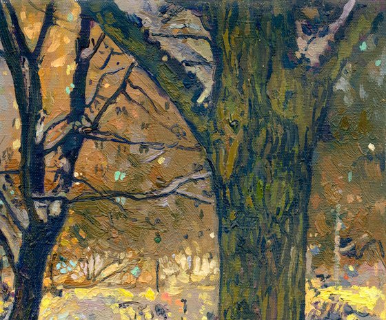 Winter Boulevard at night