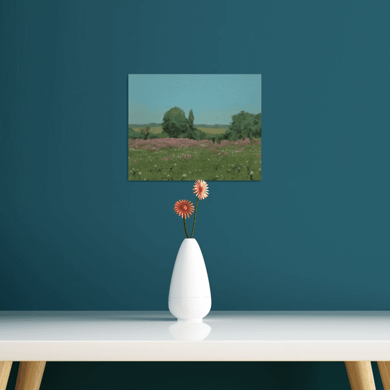 Wildflower meadow