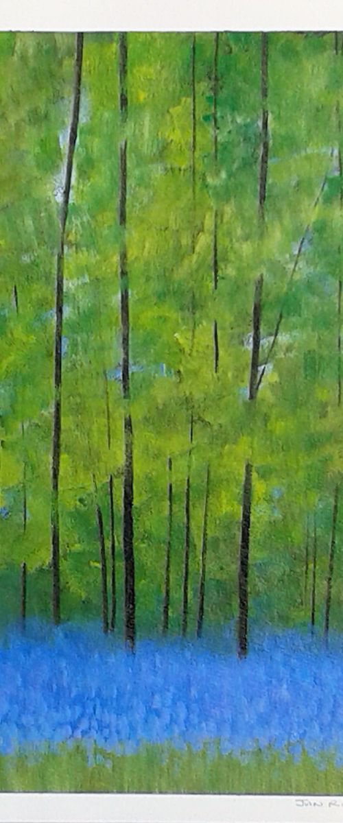 Bluebells III by Jan Rippingham
