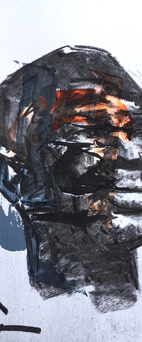 The Flayed by Dominique Dève
