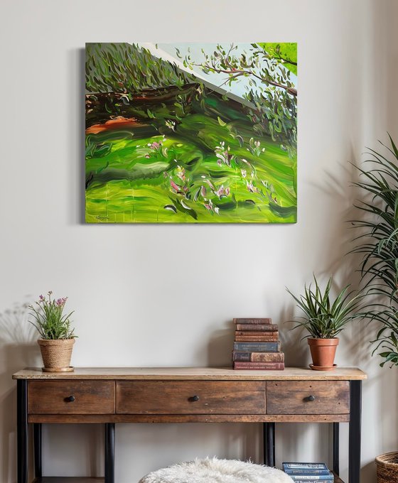 Where light takes root