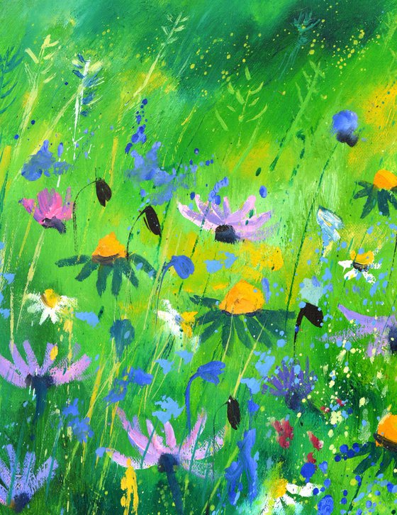 Summer wild flowers