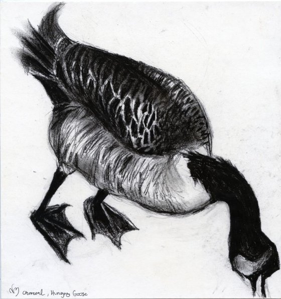The hungry charcoal goose