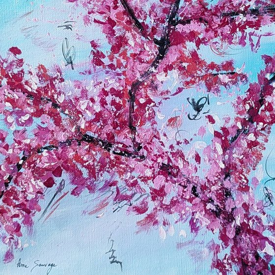 Les fleurs du cerisier