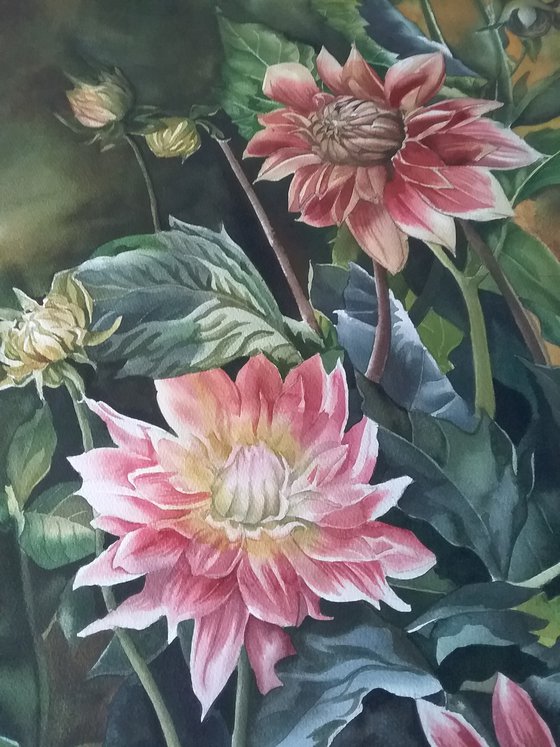 Dahlias in Autumn