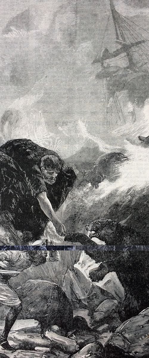 The Bear by Tudor Evans