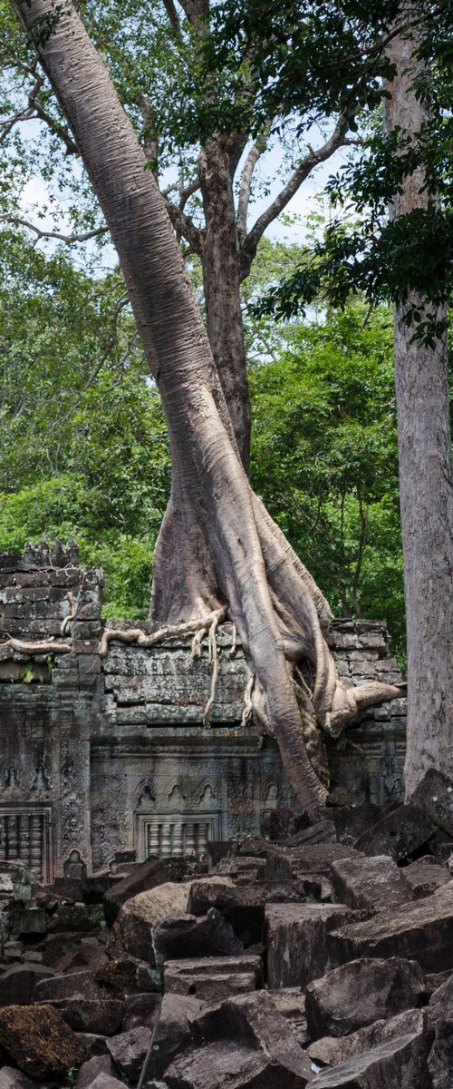 Angkor Series No.3 (Square) - Signed Limited Edition by Serge Horta
