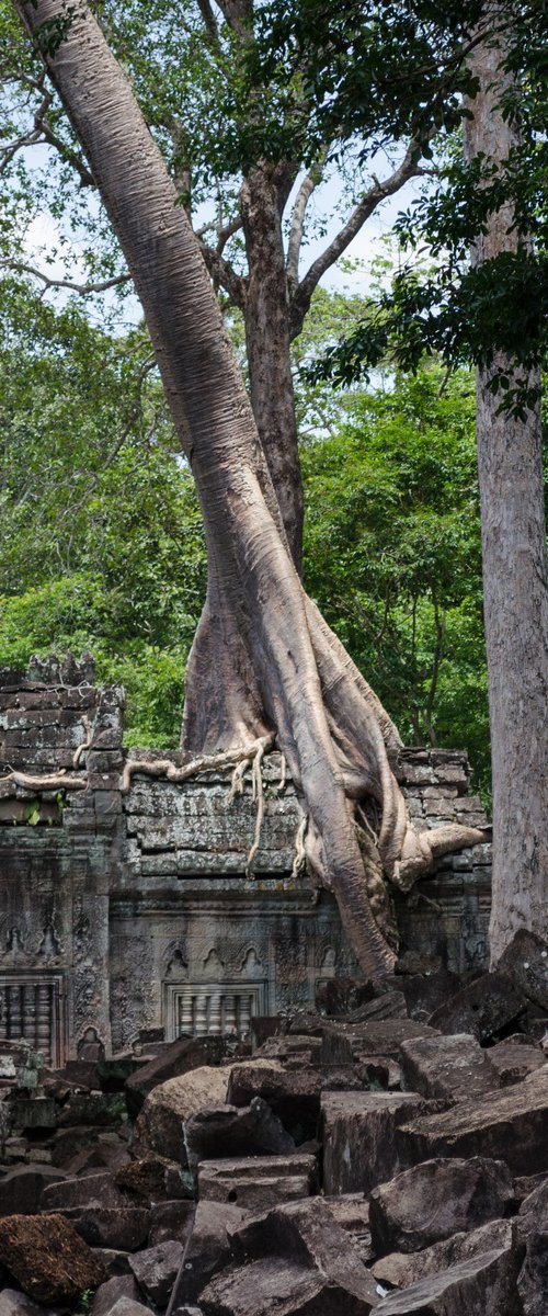 Angkor Series No.3 (Square) by Serge Horta