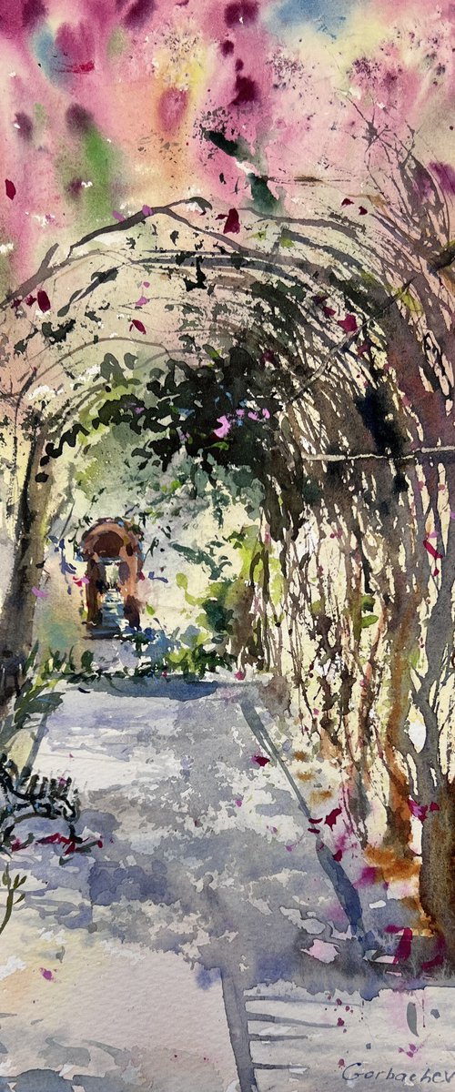 Bougainvillea Tunnel #2 by Eugenia Gorbacheva