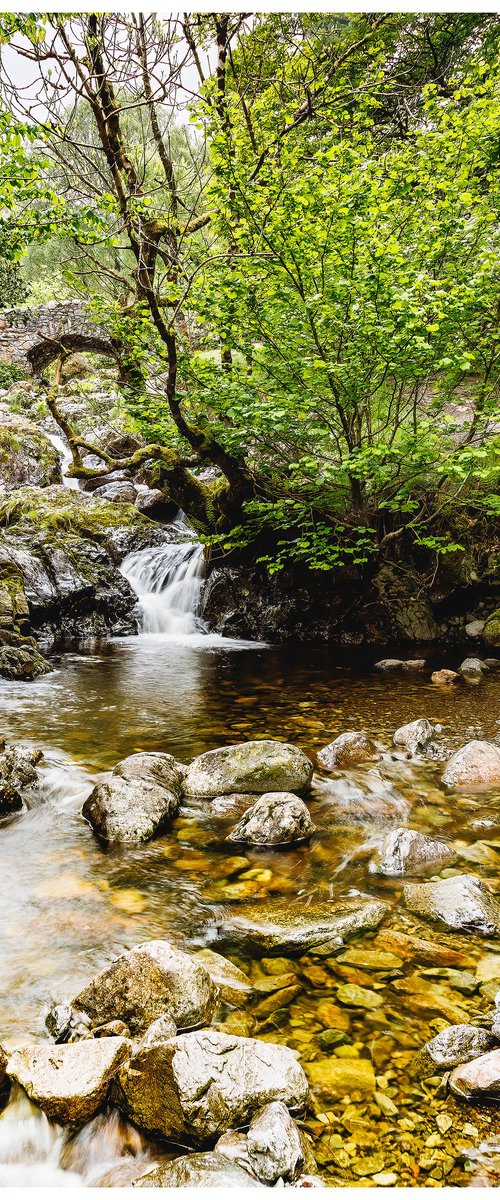 Ashness Bridge - Portrait - English Lake District by Michael McHugh