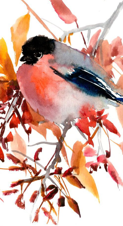 Bullfinch in the Fall by Suren Nersisyan