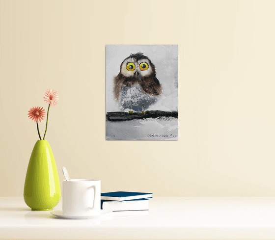 Little owl on a branch #15