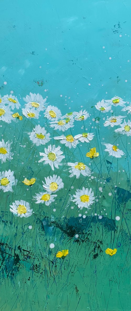 Oxeye Daisies by Laure Bury