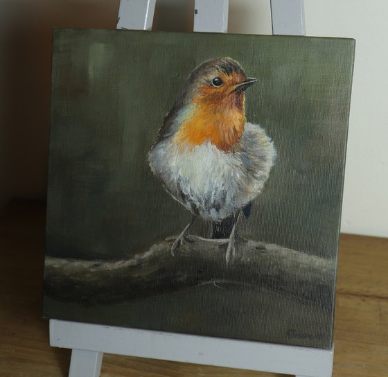 Lockdown's Morning Chorus Series - Robin, Bird Artwork, Animal Art Framed