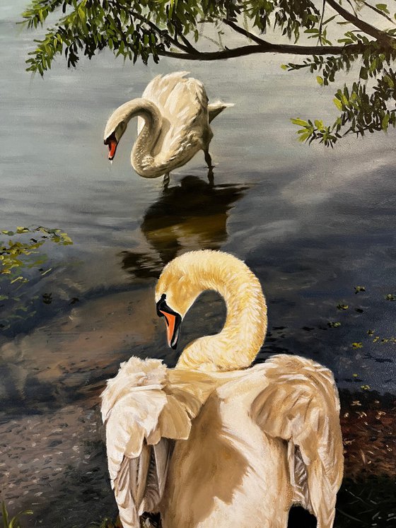 Swans at the Lake (50x40 cm)