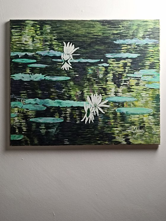 Waterlilies 2