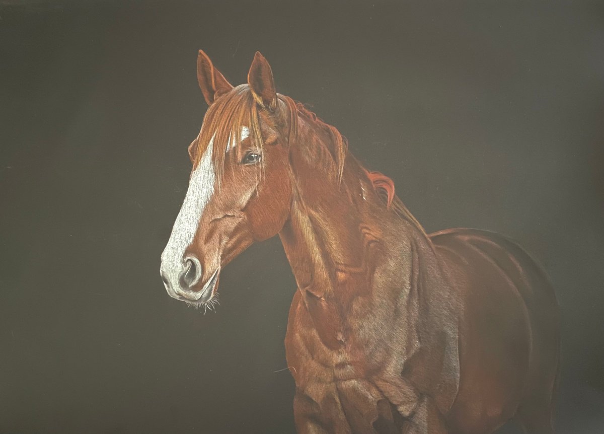 The Chestnut Horse by Jo P