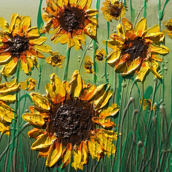 Sunflower Meadow