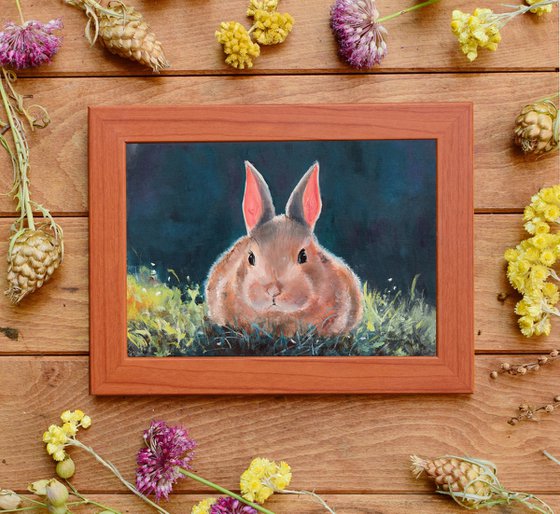 Adorable little bunny on grass