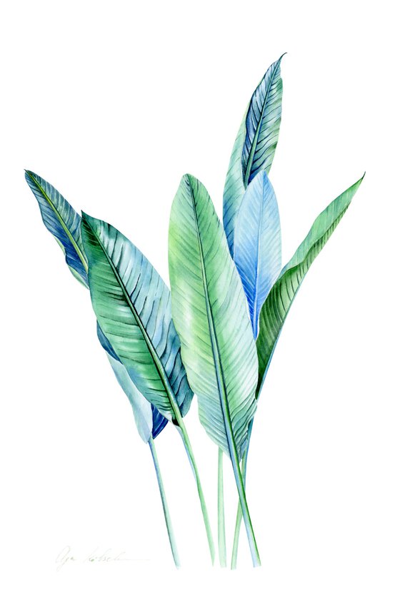 Blue Tropical leaves