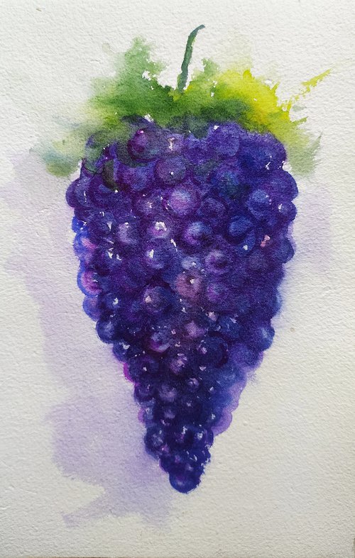 Purple grapes 2 by Asha Shenoy