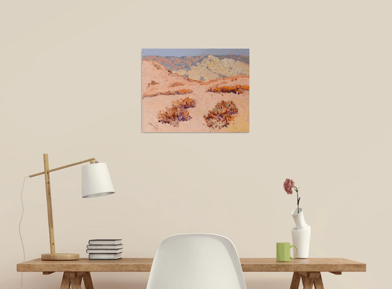 Sunny Midday. Desert