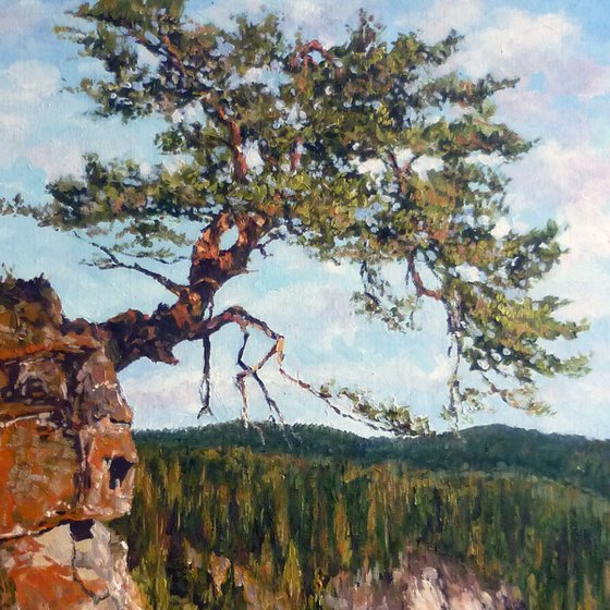 Pine Tree on a Cliff - Summer