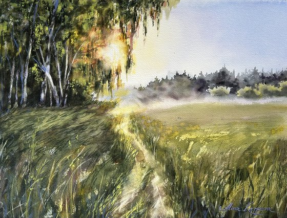 Morning sunlight