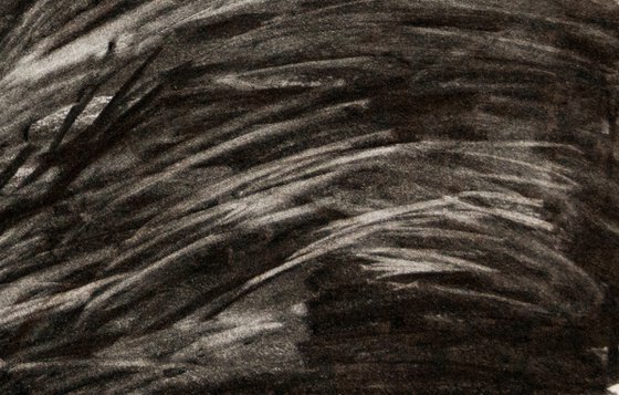 Top Withens, Wuthering Heights