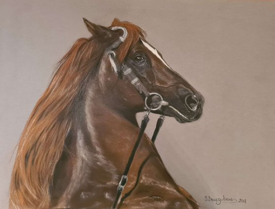 Pastel painting on Paper horse "Brown horse'' .