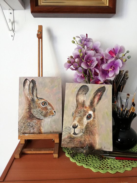 Rabbit's Portraits