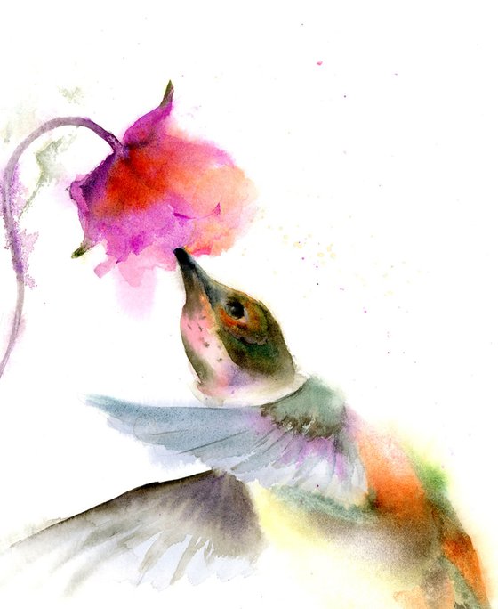 Hummingbird and pink flower