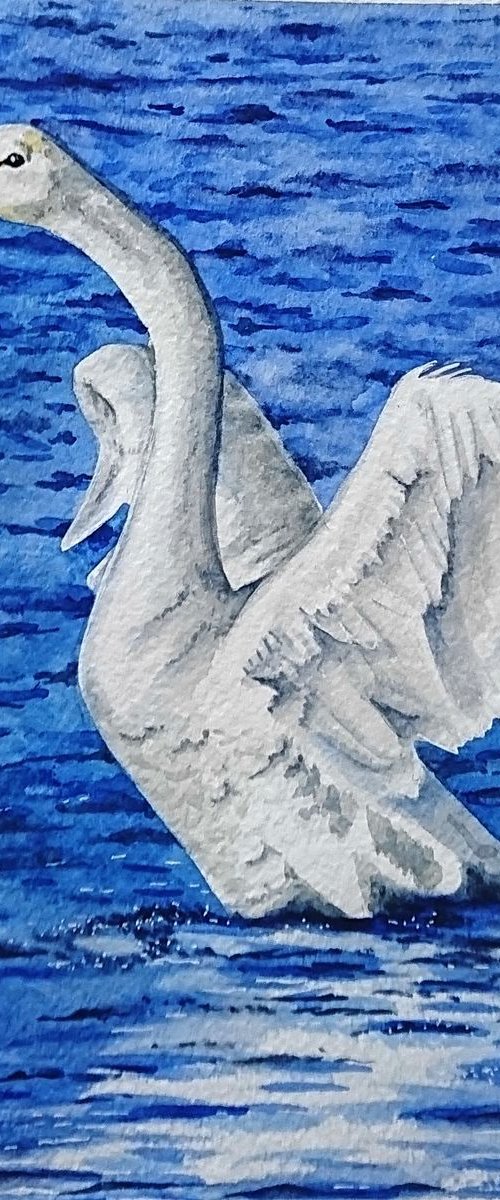 Swan. Watercolor portrait painting. by Svetlana Vorobyeva